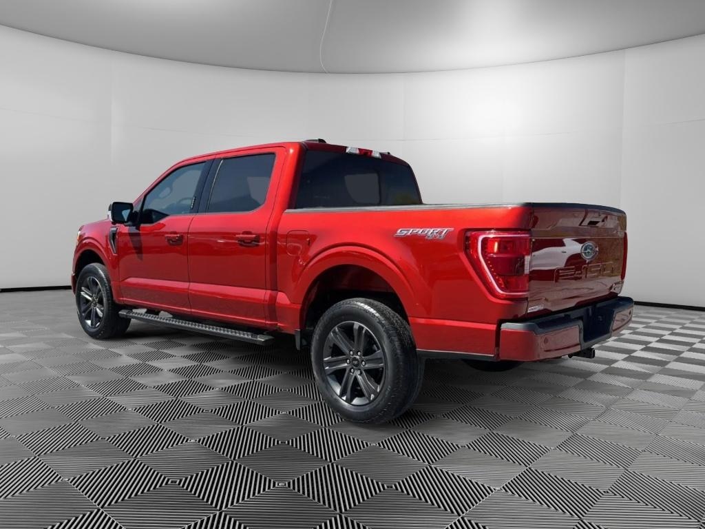 Used 2023 Ford F-150 XLT Crew Cab