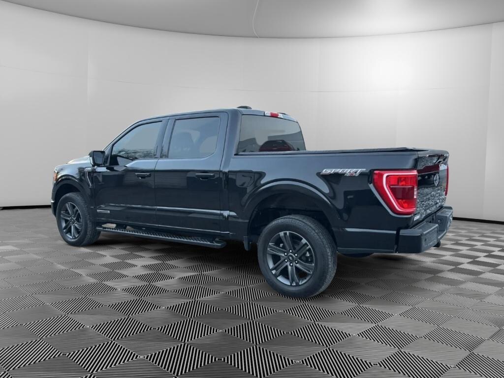 Used 2023 Ford F-150 XLT Crew Cab