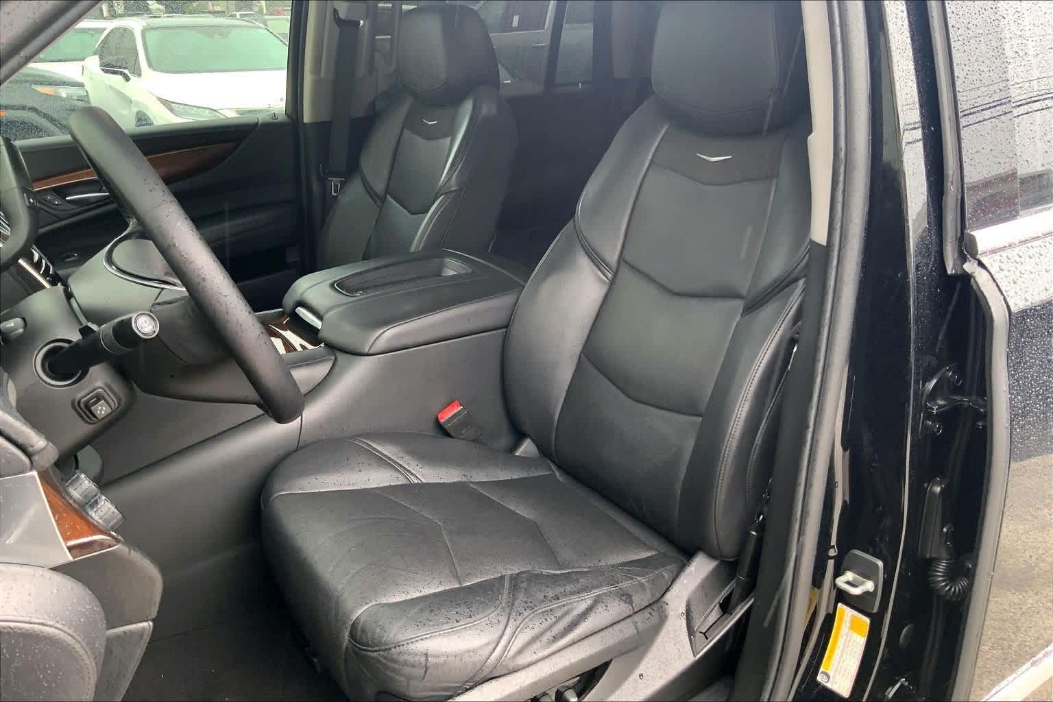 Thumbnail: 2019 Cadillac Escalade - 11