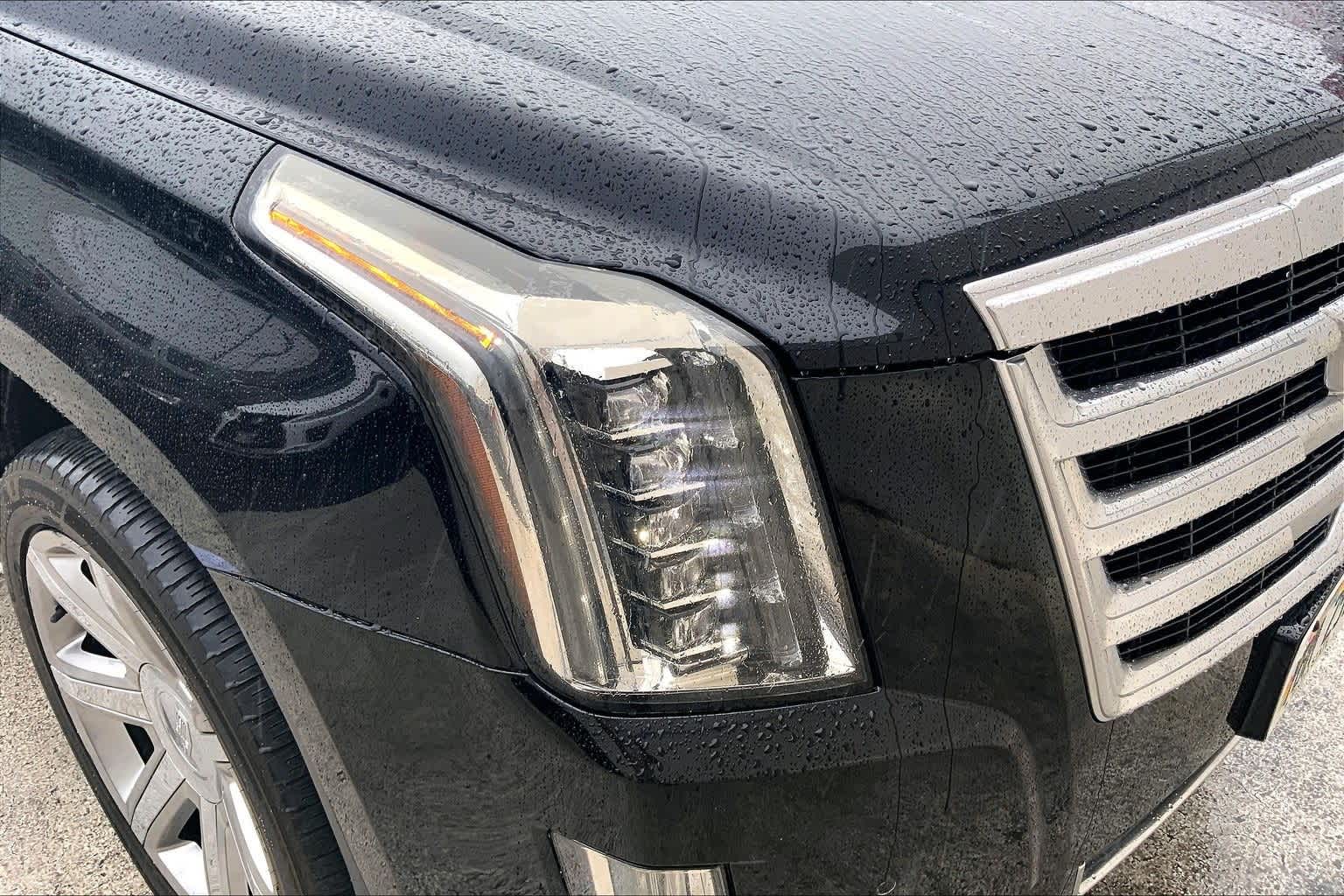 Thumbnail: 2019 Cadillac Escalade - 30