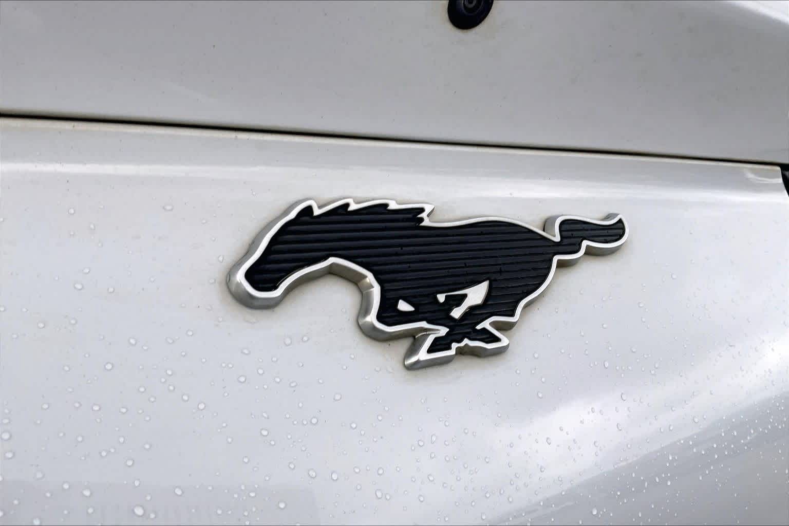 Thumbnail: 2023 Ford Mustang Mach-E - 7