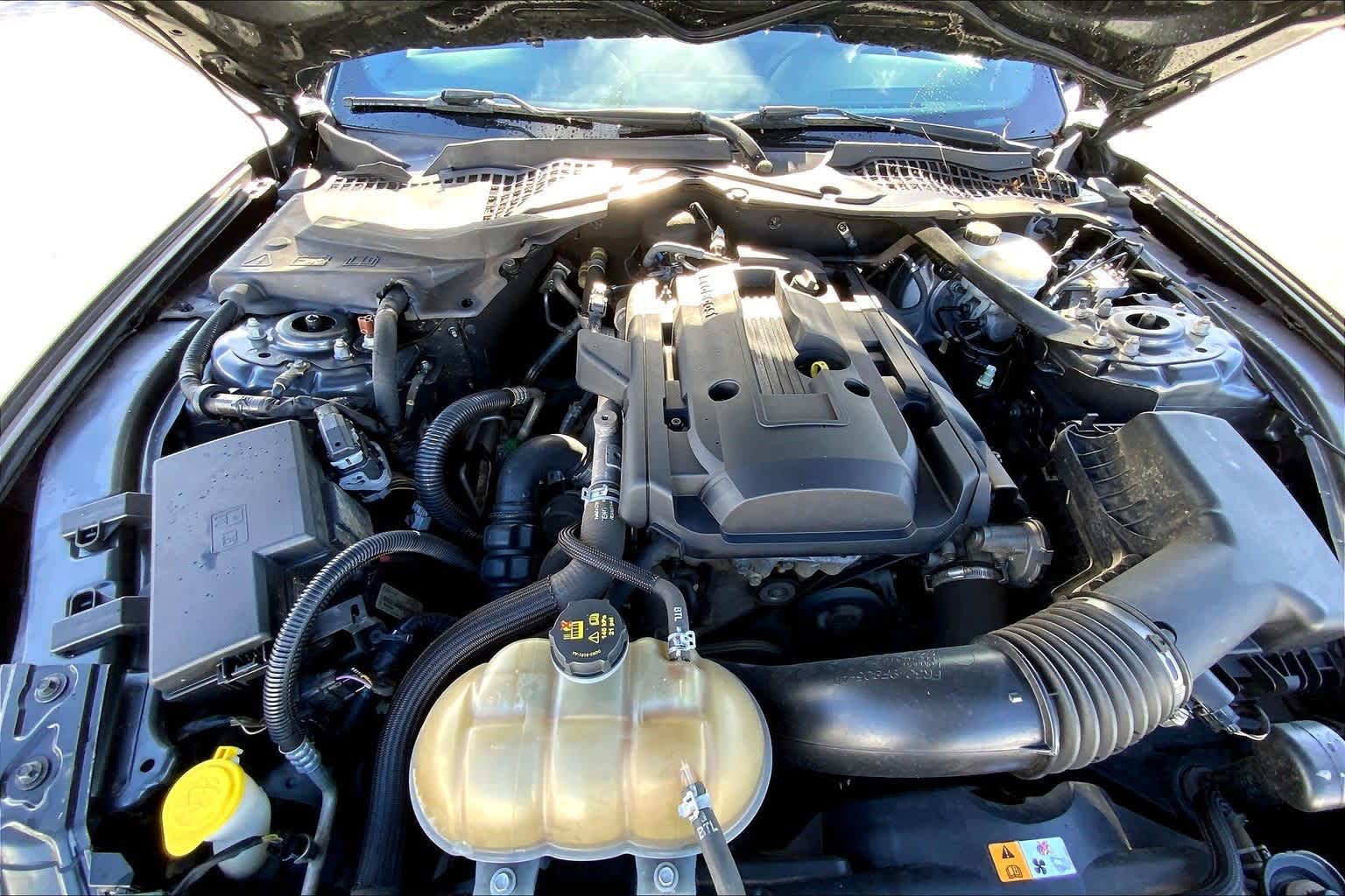 Thumbnail: 2018 Ford Mustang - 9