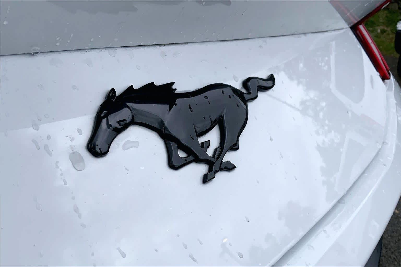 Thumbnail: 2025 Ford Mustang - 7