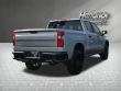 2023 Chevrolet Silverado 1500 LT Trail Boss Pickup