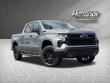 2023 Chevrolet Silverado 1500 LT Trail Boss Pickup