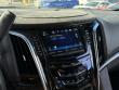 2020 CADILLAC Escalade Platinum SUV