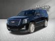 2020 CADILLAC Escalade Platinum SUV