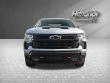 2023 Chevrolet Silverado 1500 LT Trail Boss Pickup