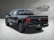 2025 Ford F-150 STX Pickup