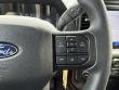 2025 Ford F-150 STX Pickup