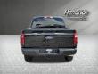 2025 Ford F-150 STX Pickup