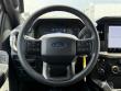 2025 Ford F-150 STX Pickup
