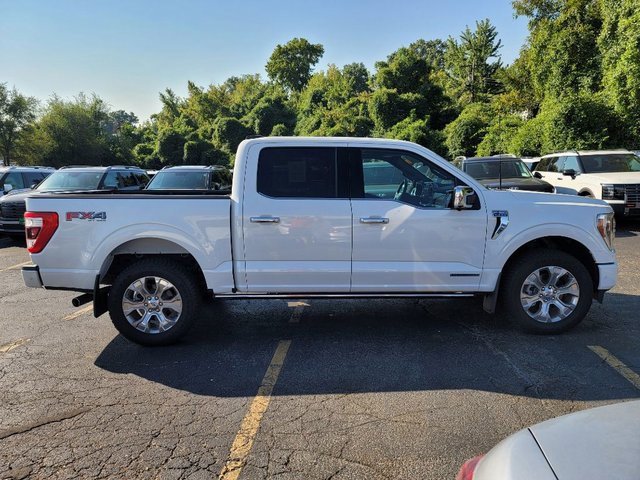 2023 Ford F-150 Platinum photo 2
