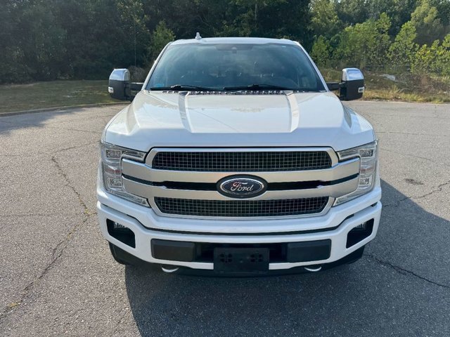 2019 Ford F-150 Platinum photo 3