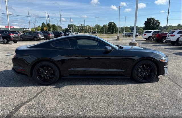 2020 Ford Mustang GT Premium photo 2