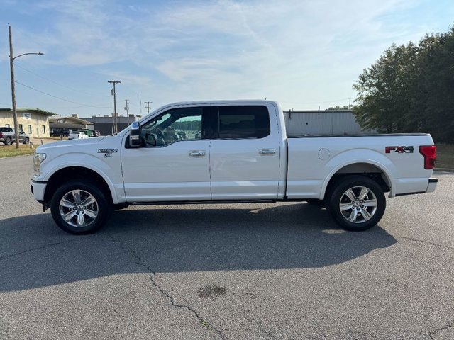2019 Ford F-150 Platinum photo 4