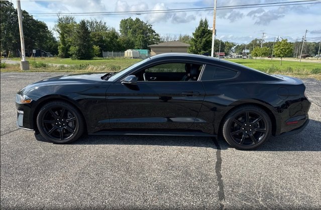 2020 Ford Mustang GT Premium photo 4