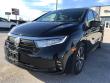 2024 Honda Odyssey Touring Van