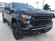 2024 Chevrolet Silverado 1500 Custom Trail Boss Truck Crew Cab