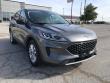 2022 Ford Escape SE SUV