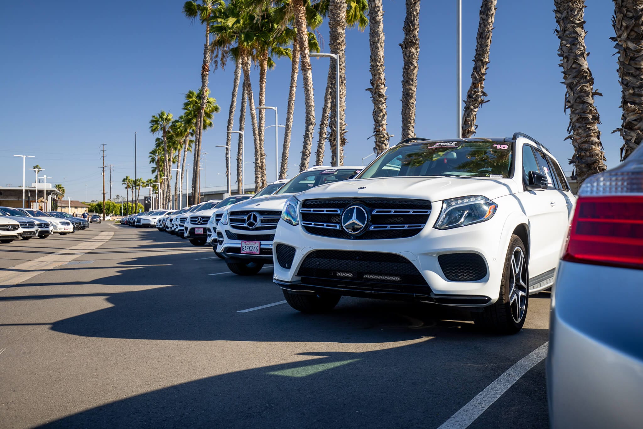 A row of Mercedes-Benz vehicles preen in the sunshine