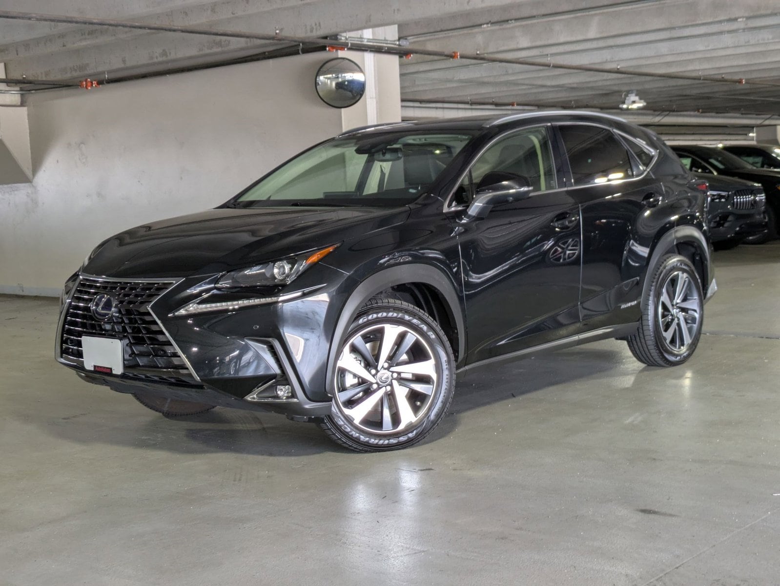 2021 Lexus NX 350h 300h AWD's photo