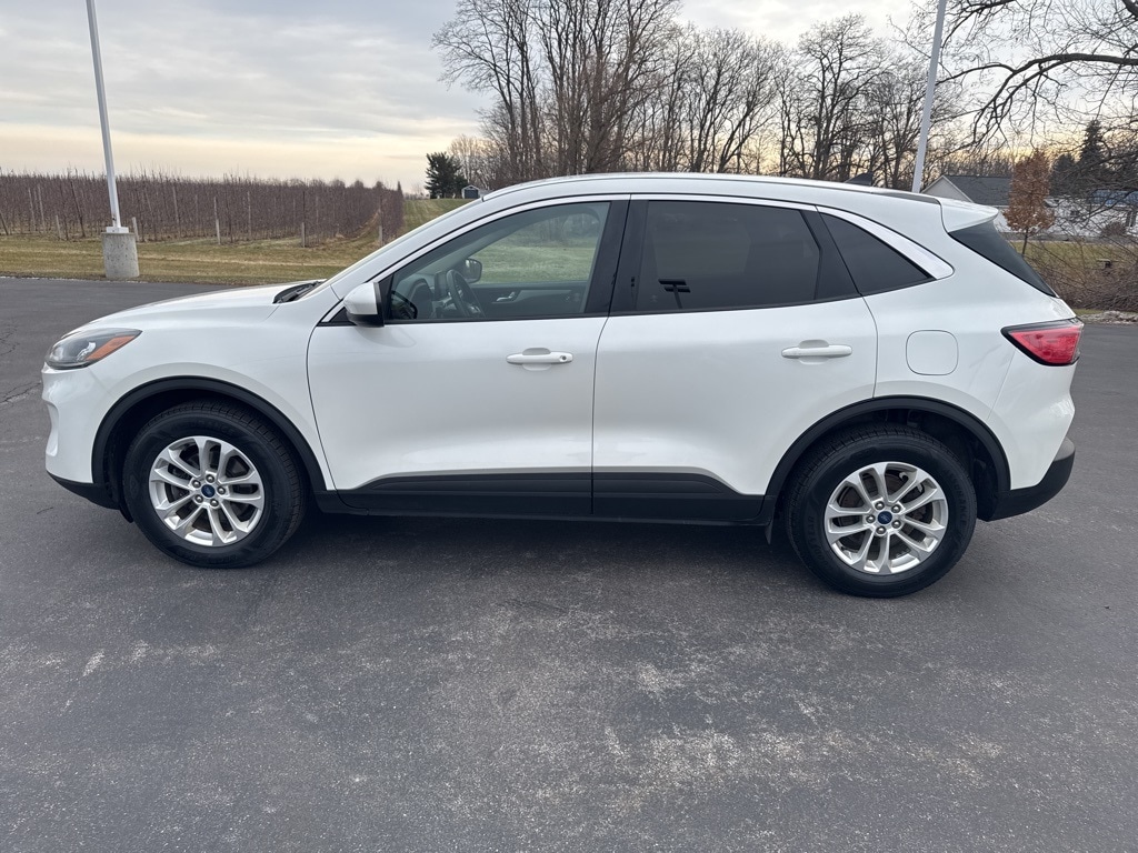 2020 Ford Escape SE photo 4