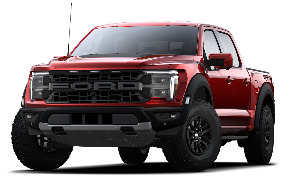 Raptor