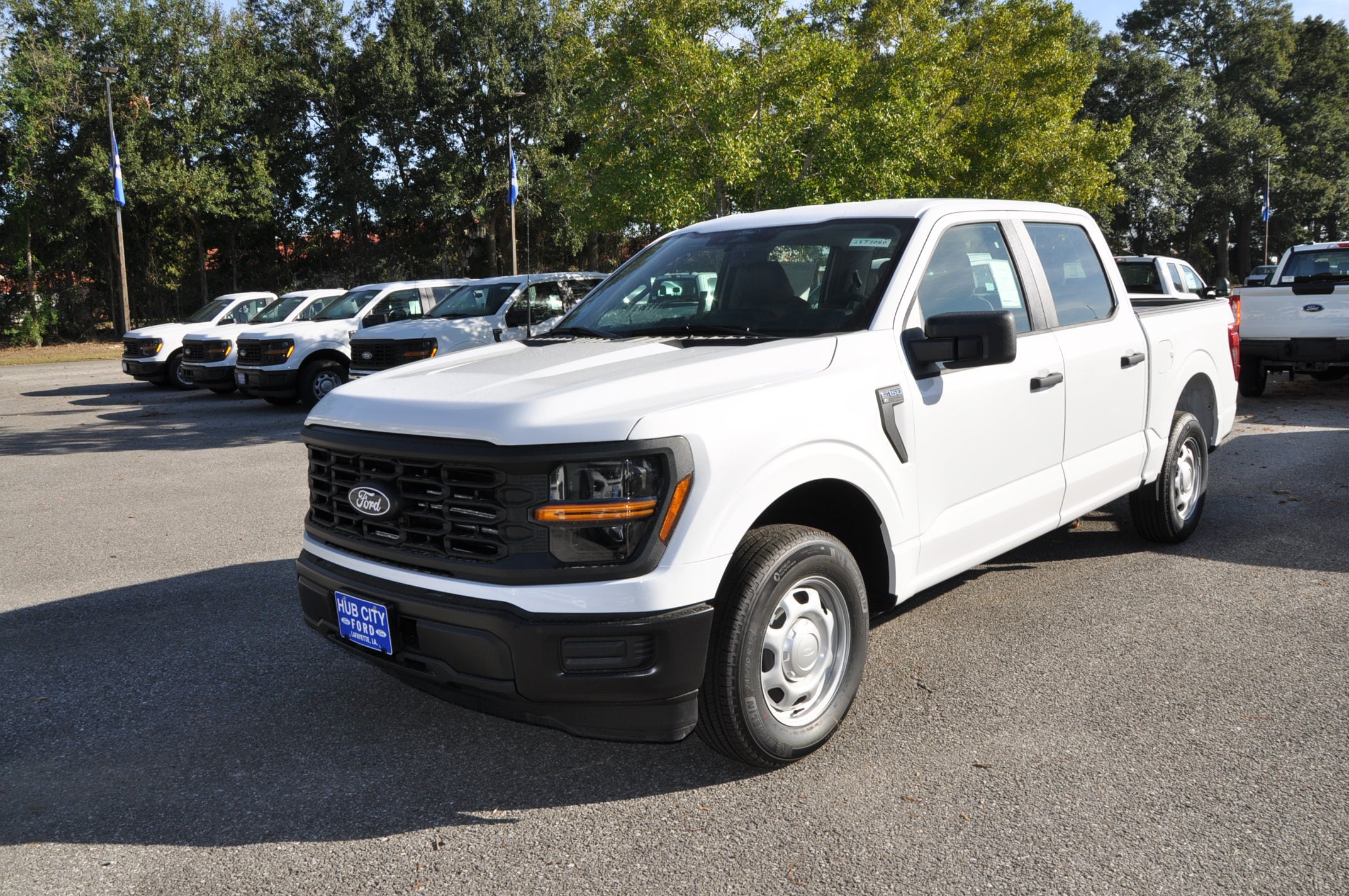 2025 Ford F-150 XL's photo