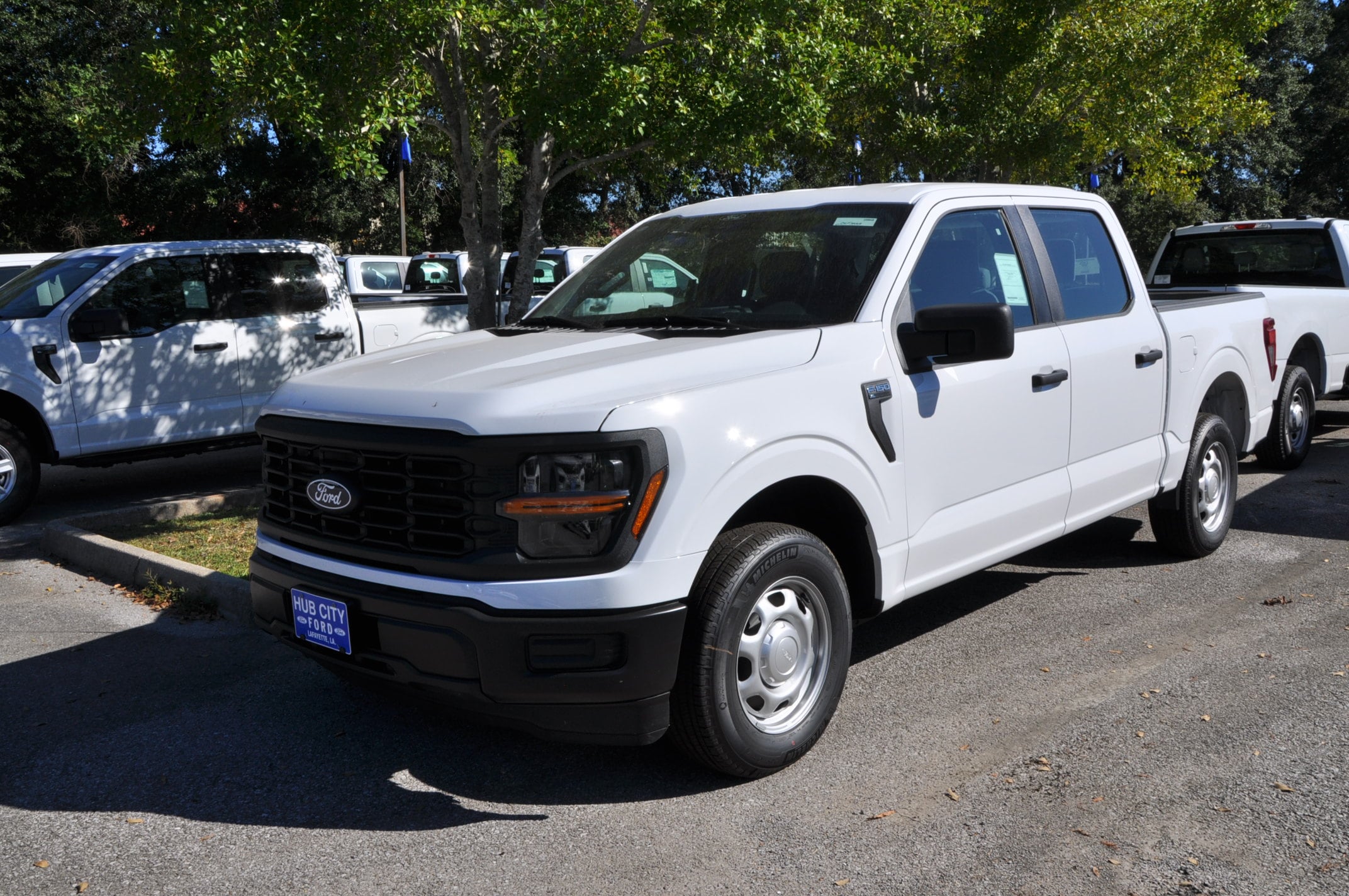 2025 Ford F-150 XL's photo