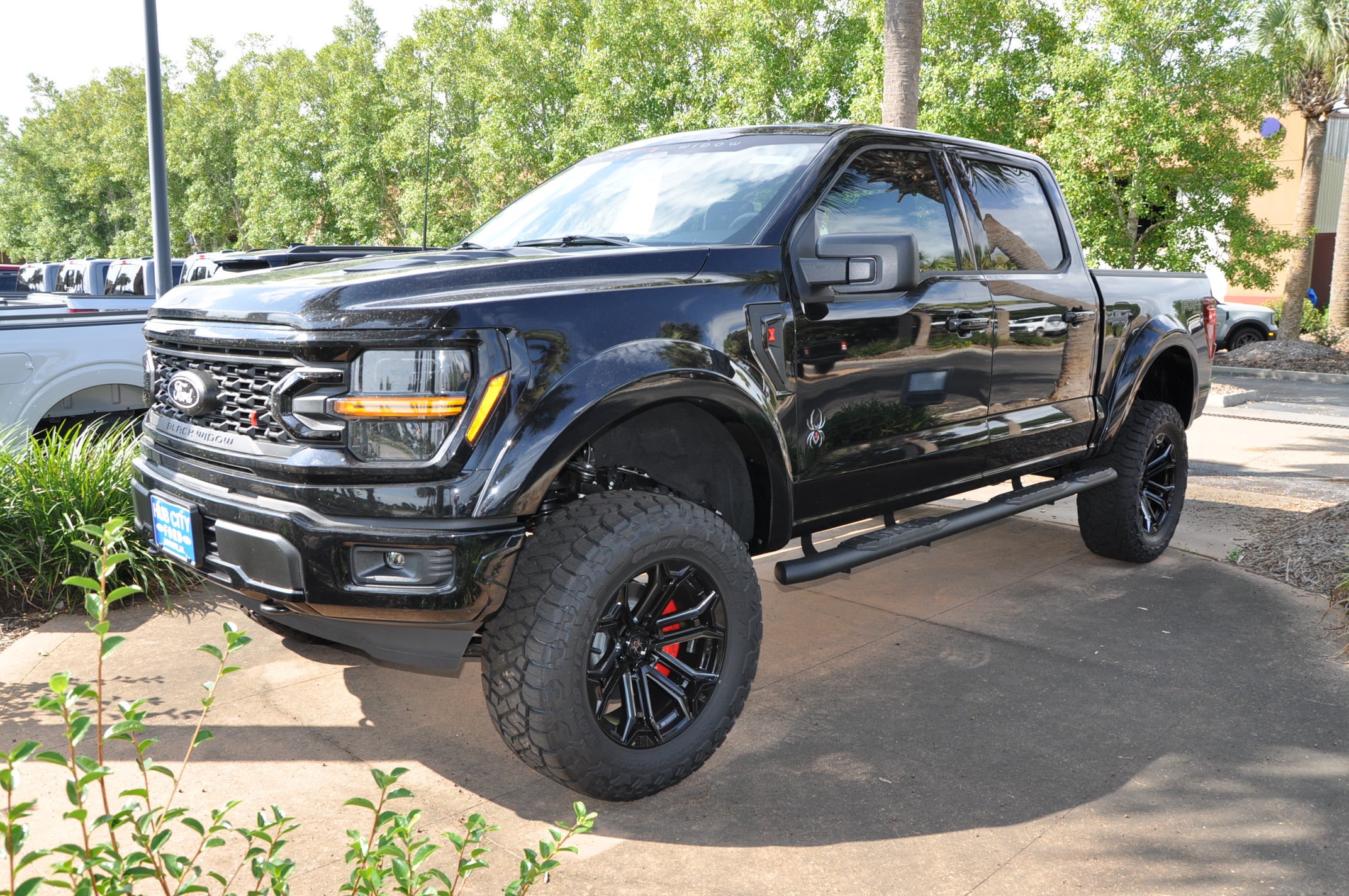 2025 Ford F-150 XLT's photo