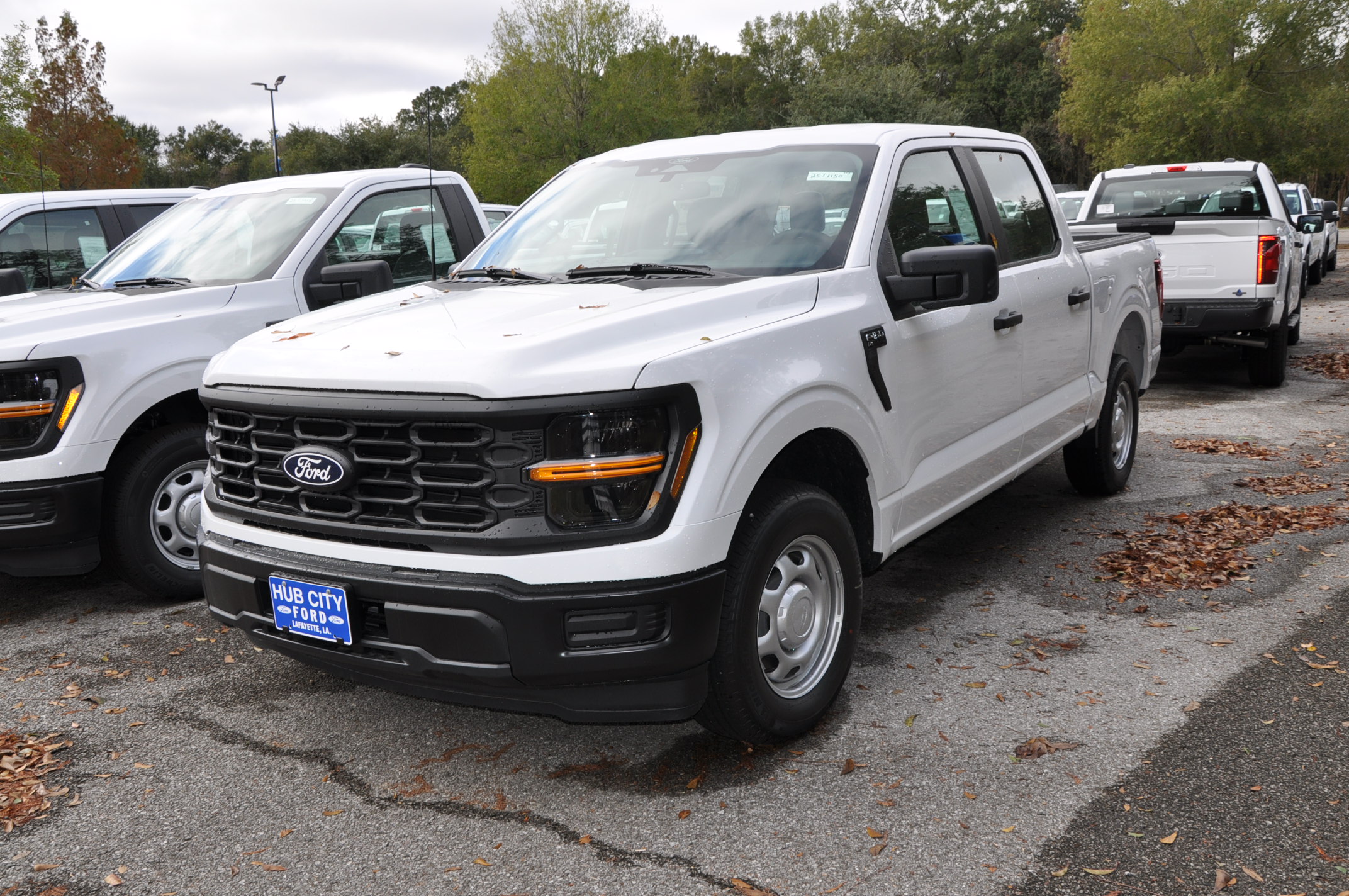 2025 Ford F-150 XL's photo
