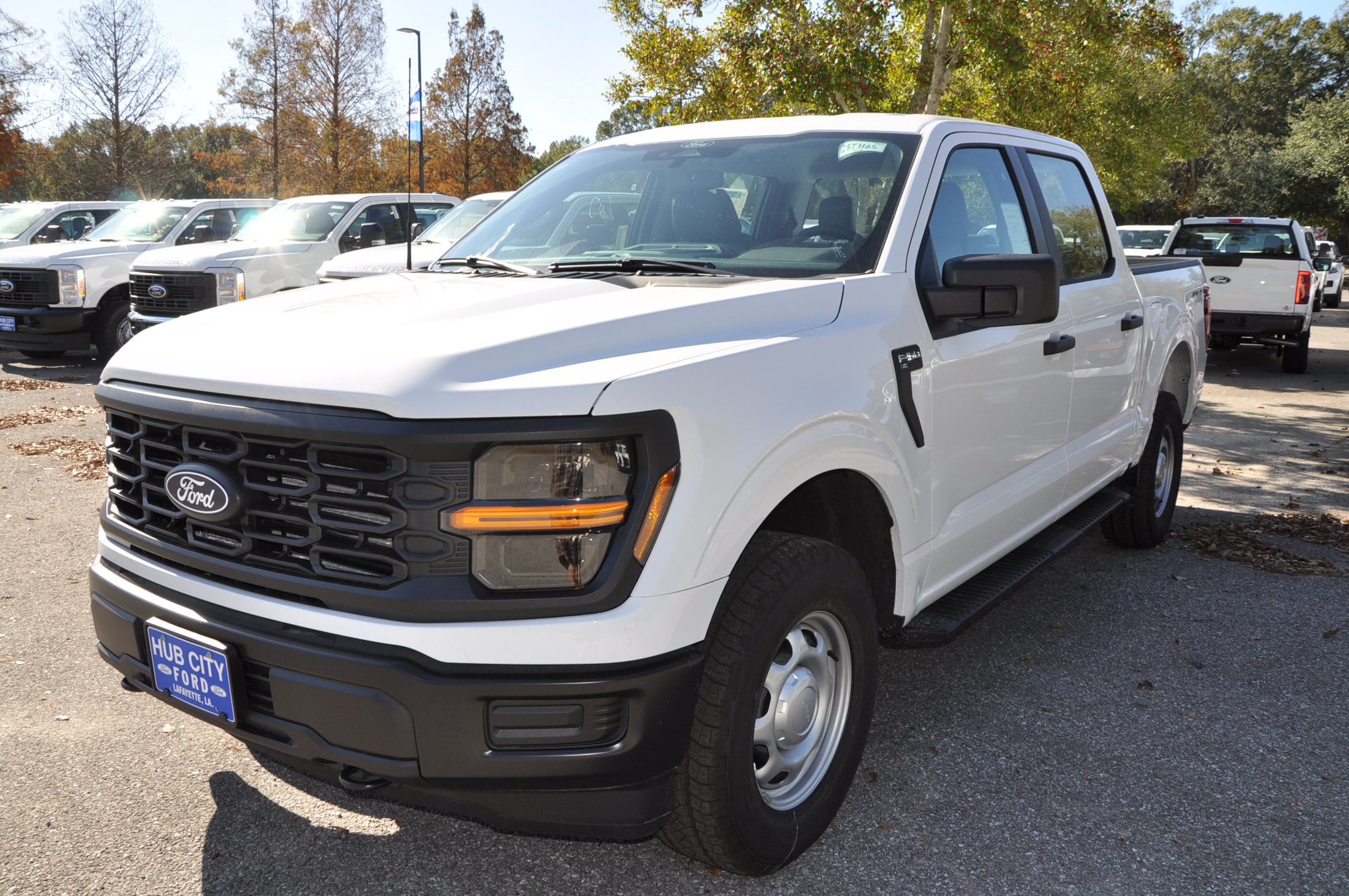 2025 Ford F-150 XL's photo