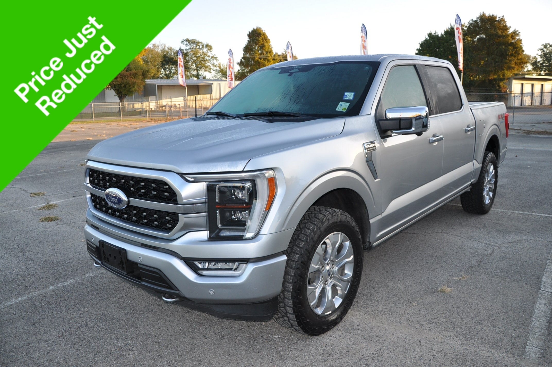 2022 Ford F-150 Platinum's photo