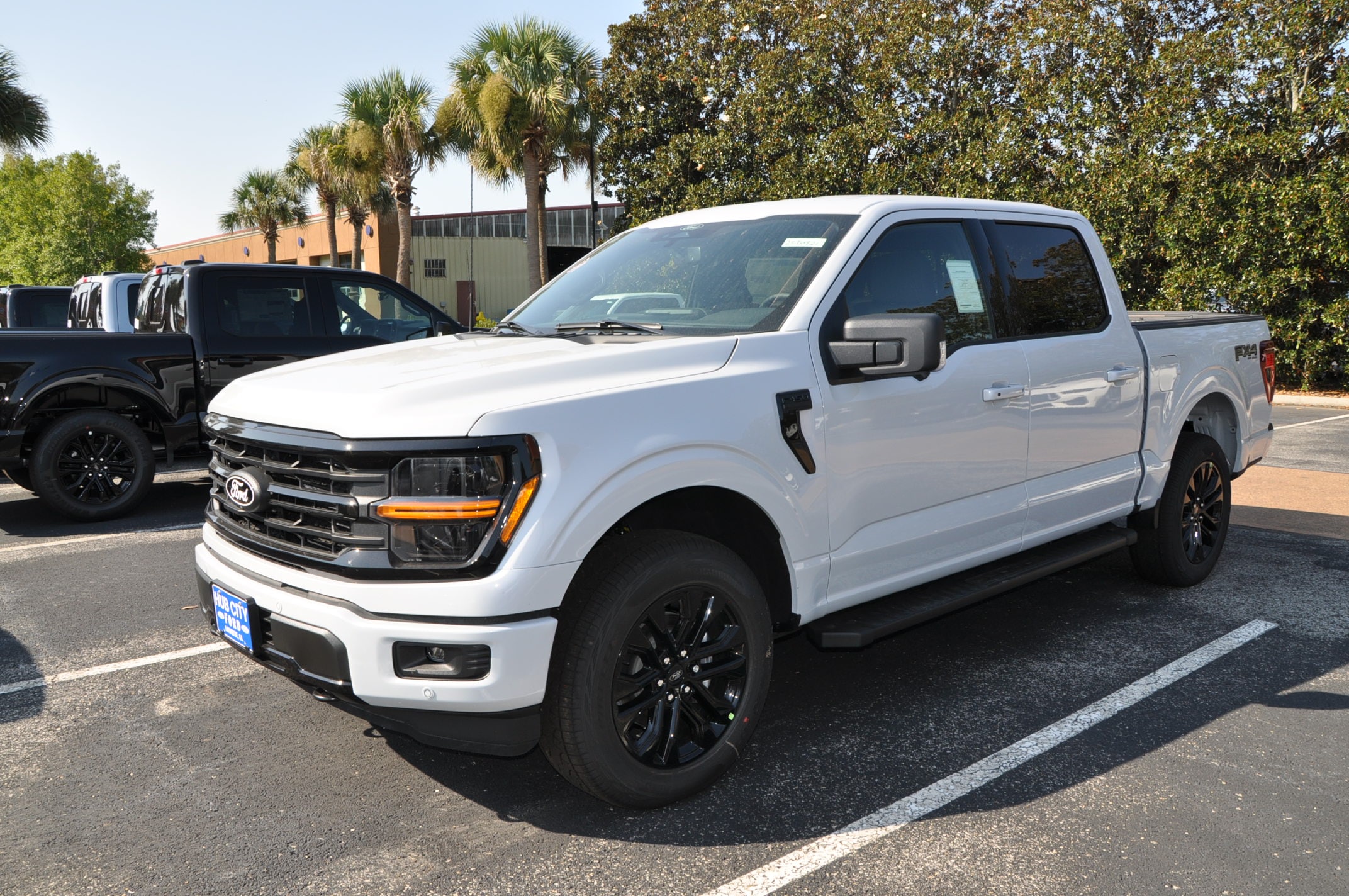2025 Ford F-150 XLT's photo