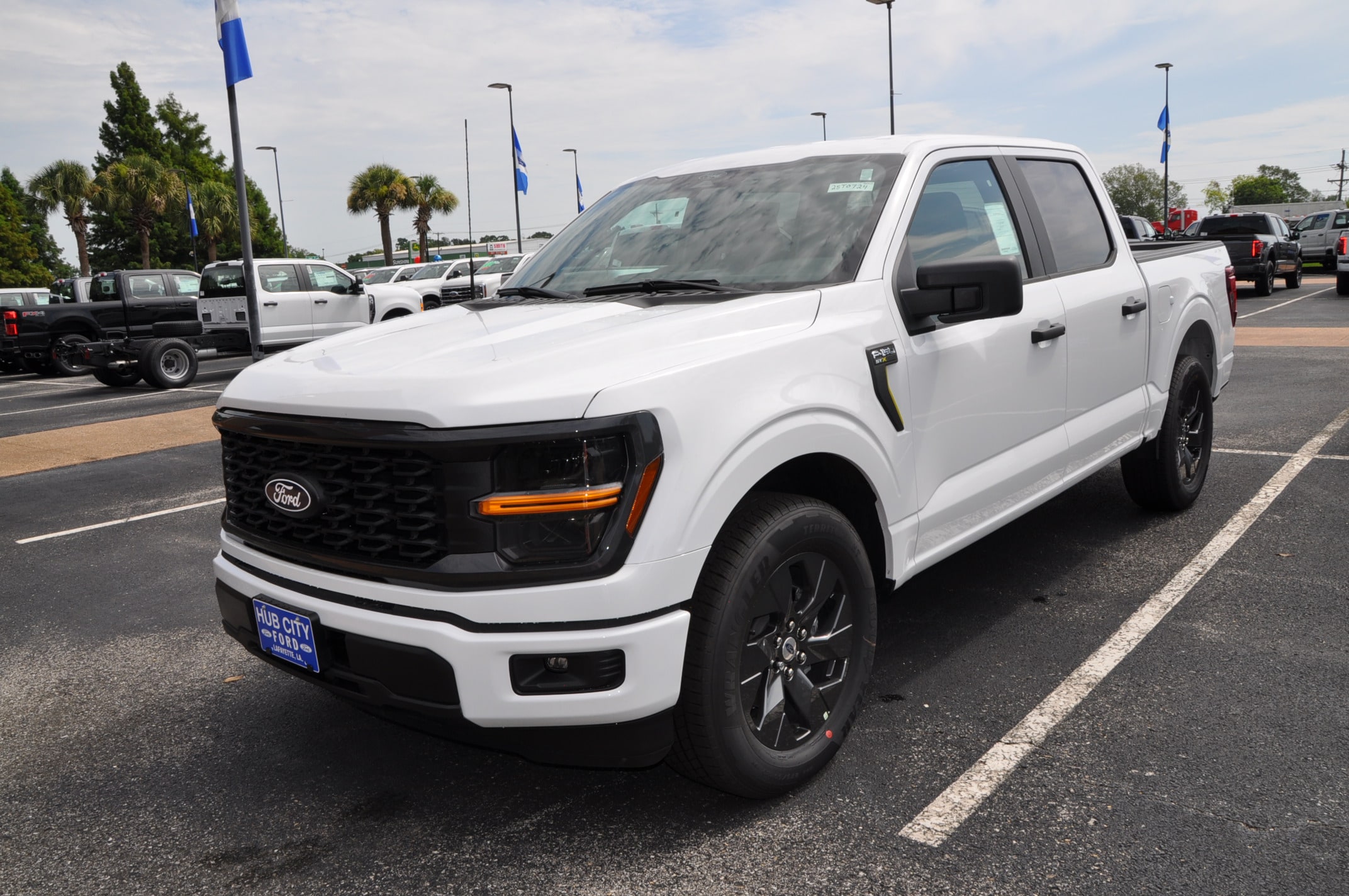 2025 Ford F-150 STX's photo