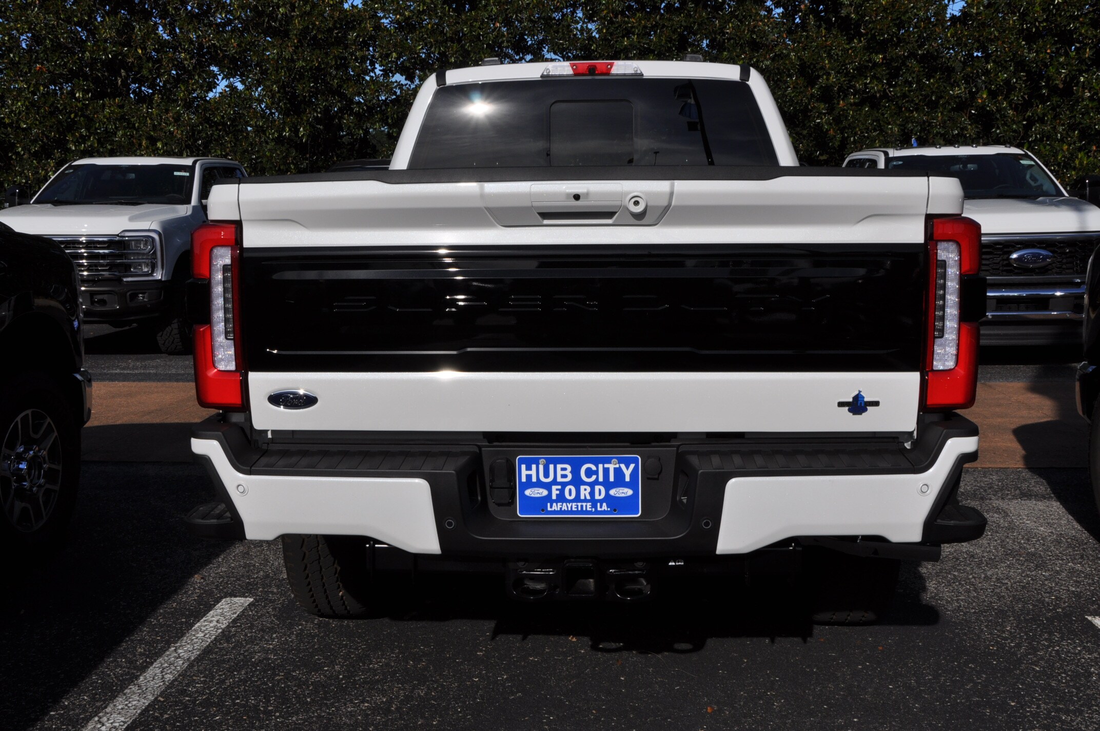 2025 Ford F-250 Platinum photo 3