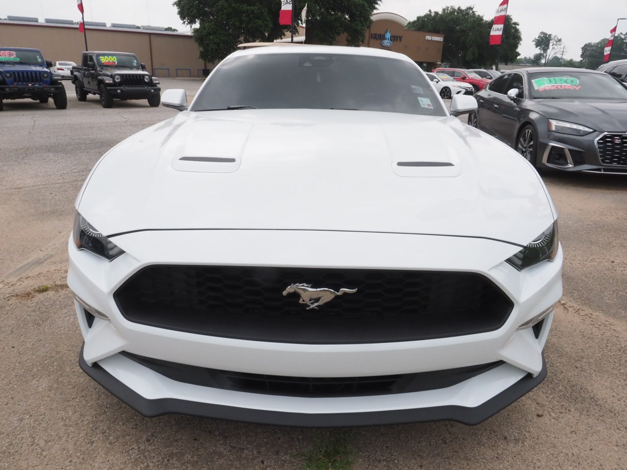 Used 2023 Ford Mustang EcoBoost with VIN 1FA6P8TH6P5108230 for sale in Lafayette, LA