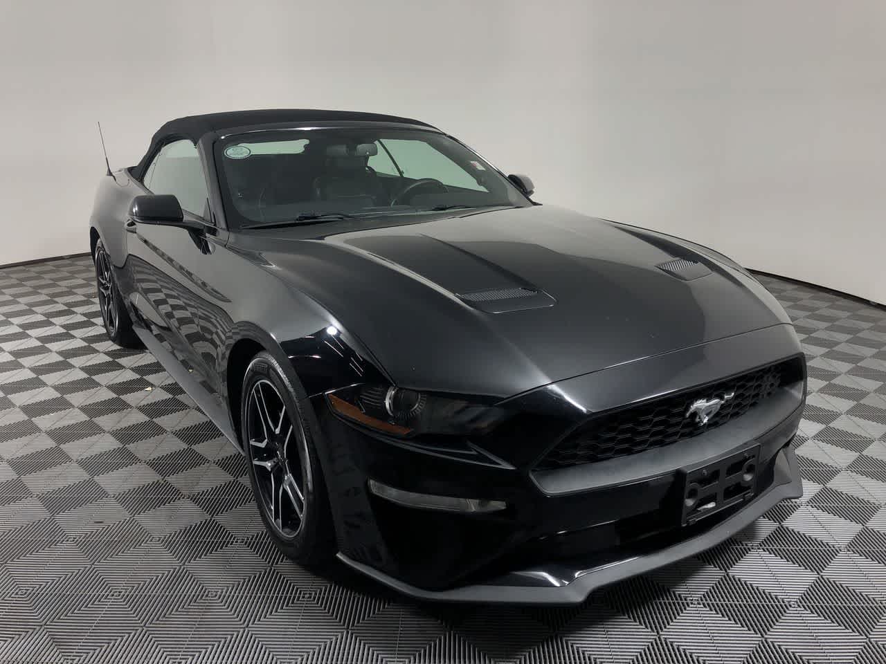 Used 2019 Ford Mustang EcoBoost Premium with VIN 1FATP8UH3K5169920 for sale in Shelbyville, IN