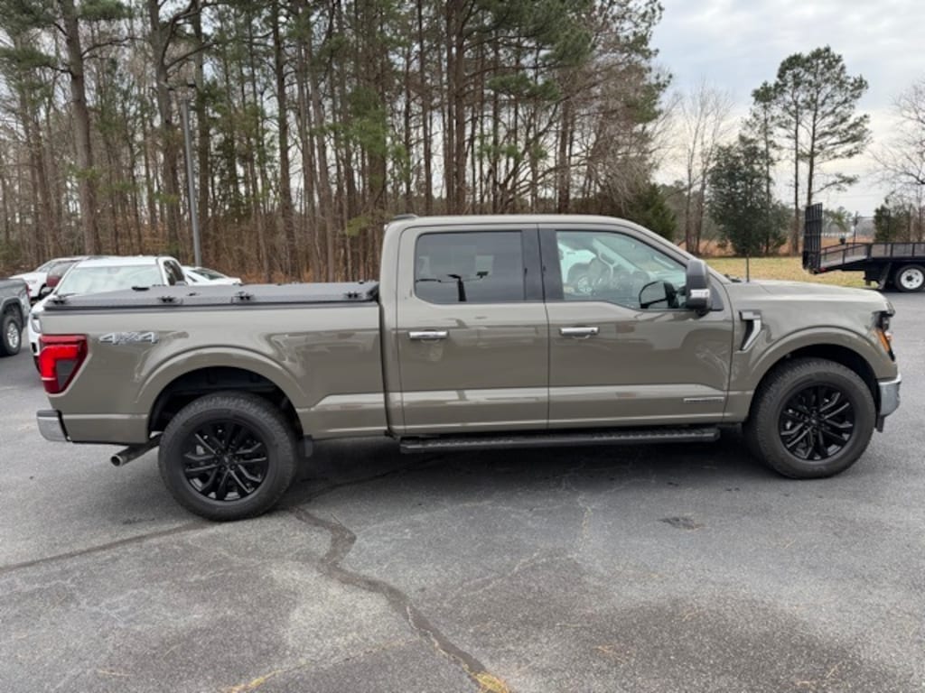 Used 2025 Ford F-150 XLT Truck