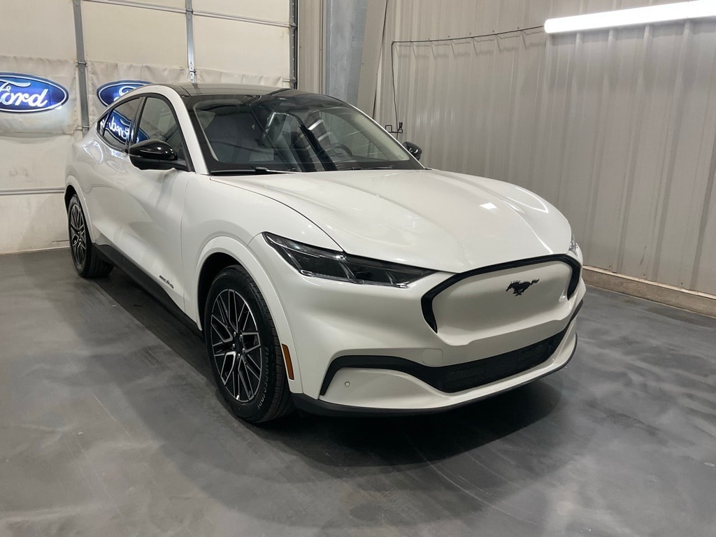 2025 Ford Mustang Mach-E Premium AWD's photo