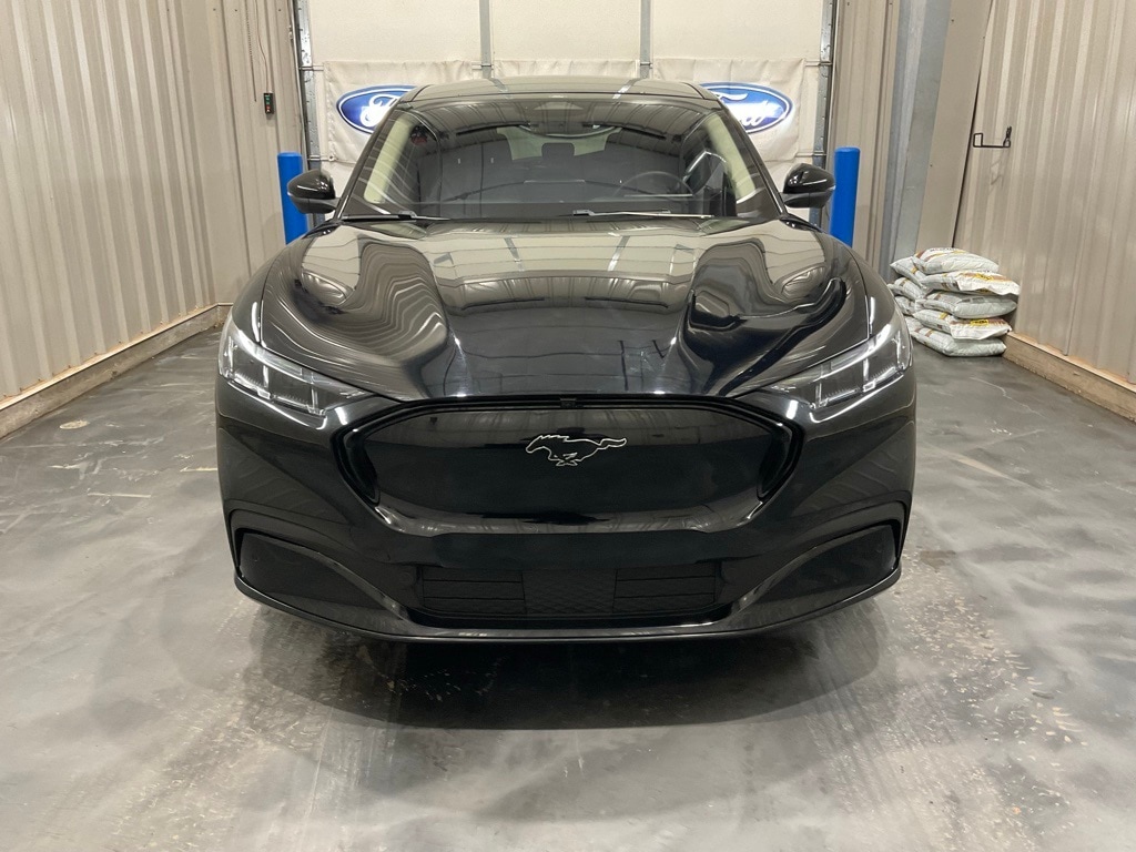 Used 2024 Ford Mustang Mach-E Premium RWD with VIN 3FMTK3R47RMA03630 for sale in Wellston, OK