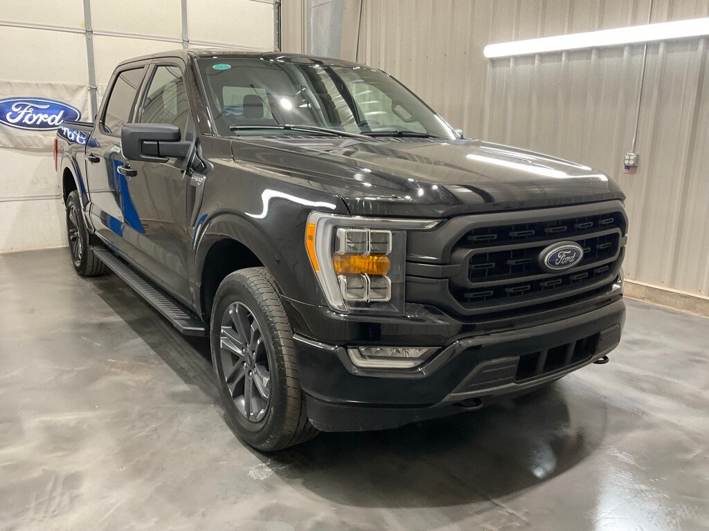 2023 Ford F-150 XLT's photo