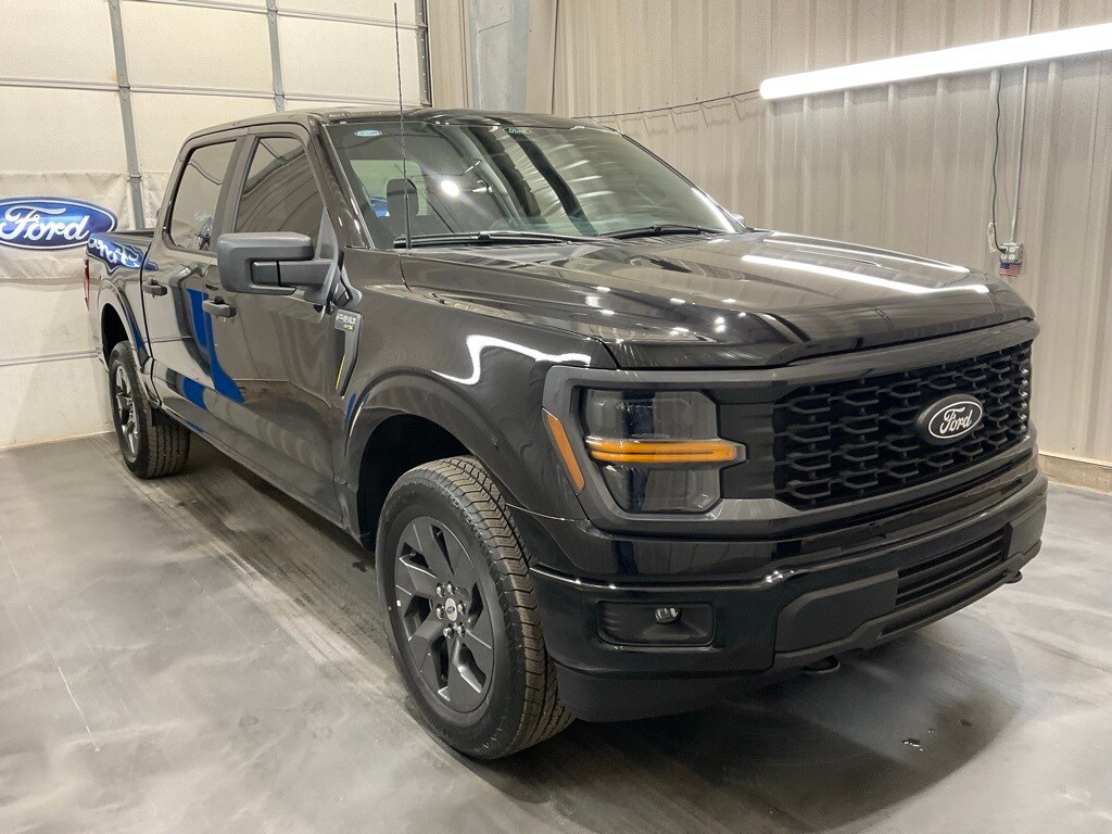 2025 Ford F-150 STX's photo