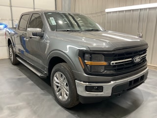 2025 Ford F-150 XLT Truck