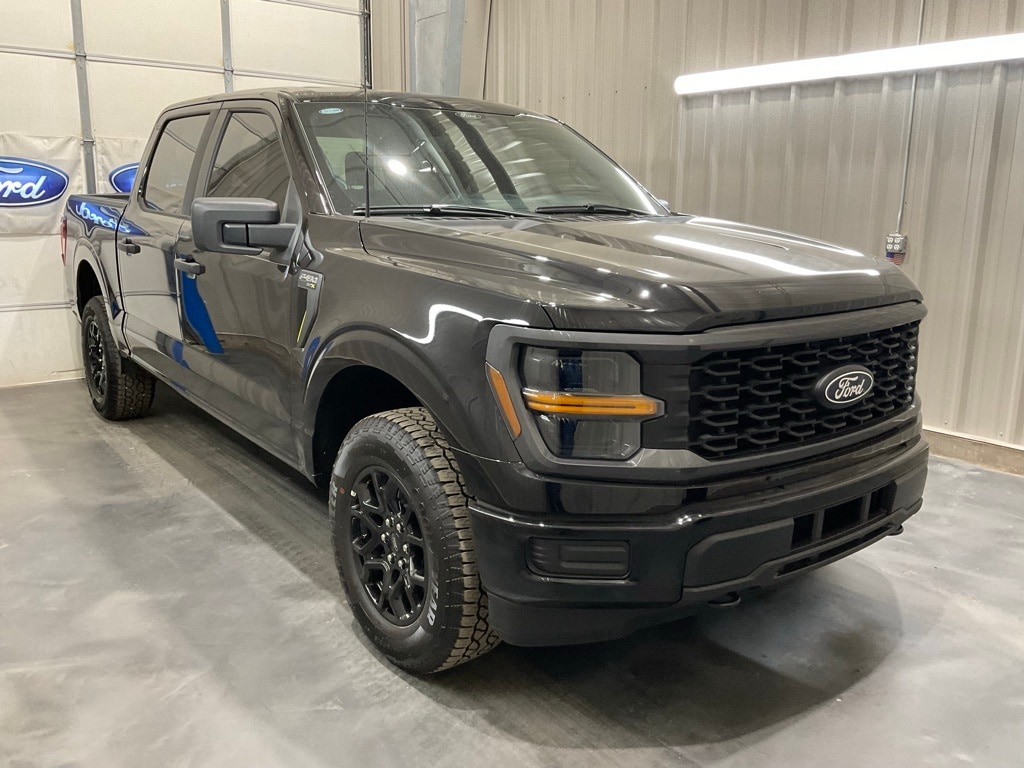 2025 Ford F-150 STX's photo