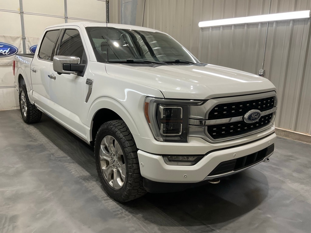 2021 Ford F-150 Platinum's photo