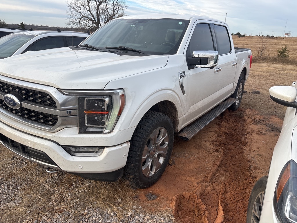 2021 Ford F-150 Platinum's photo