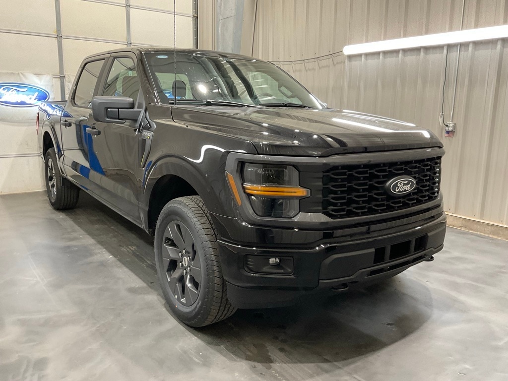 2025 Ford F-150 STX's photo