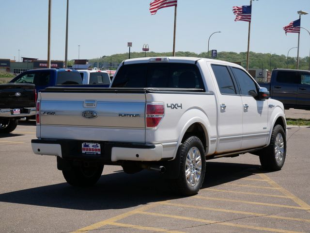 2013 Ford F-150 Platinum 19